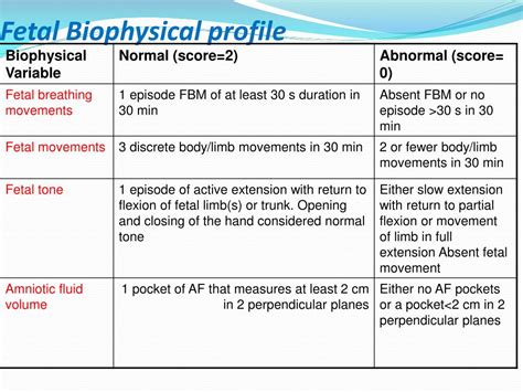 Biophysical Profile .